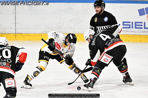 2025-01-25 Mastini Varese-Hockey Feltre 1239 Sebastian Allevato